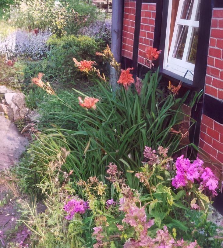 Gartenansicht