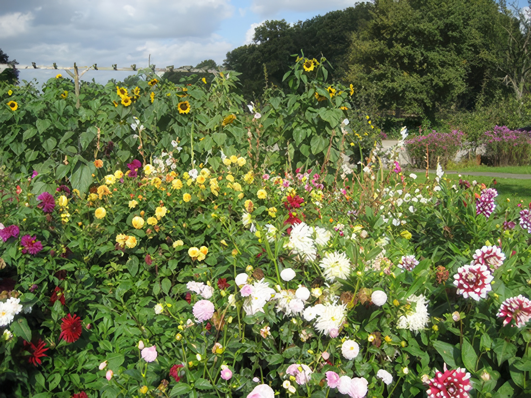 Garten Impressionen