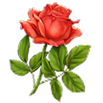 Logo Icon